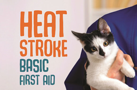 Heat Stroke – Basic First Aid