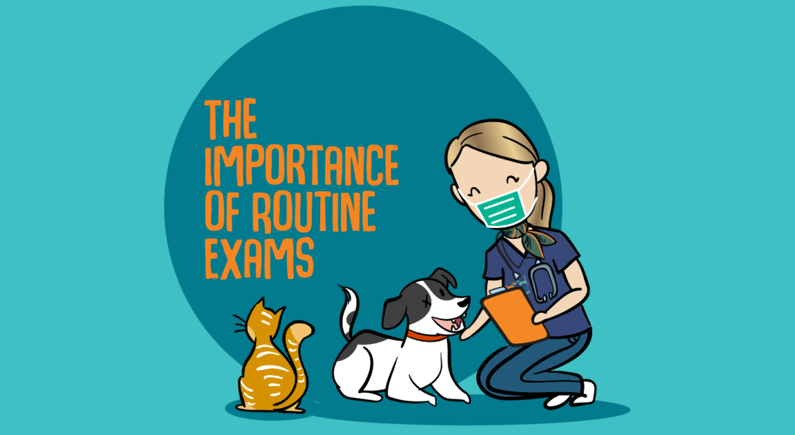 The Importance of Routine Exams for Your Pet