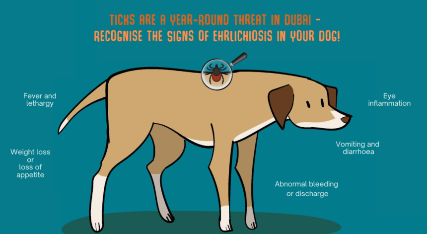 Protect Your Pets from Ehrlichiosis