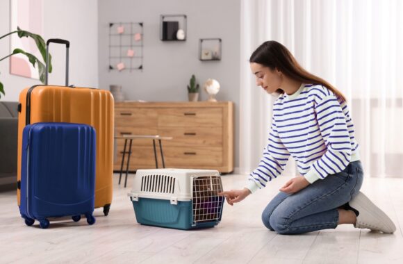 Preparing Your Pets for Your Vacation: A Guide for Pet Owners in Dubai